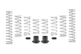 Pro-UTV Spring Kit