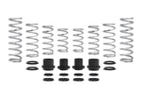 Pro-UTV Spring Kit