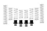 Pro-UTV Spring Kit