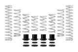 Pro-UTV Spring Kit