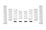 Pro-UTV Spring Kit