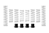 Pro-UTV Spring Kit