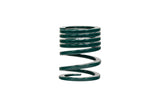 ERS Motorsport Spring