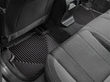 All Weather Floor Mats
